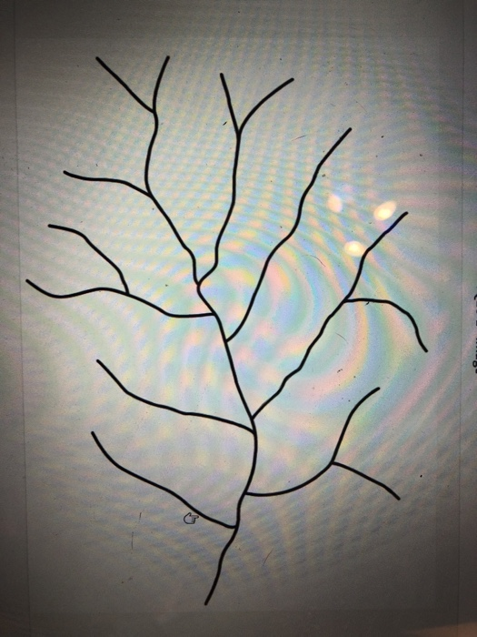 Solved Q1: The figure here shows the stream pattern within | Chegg.com