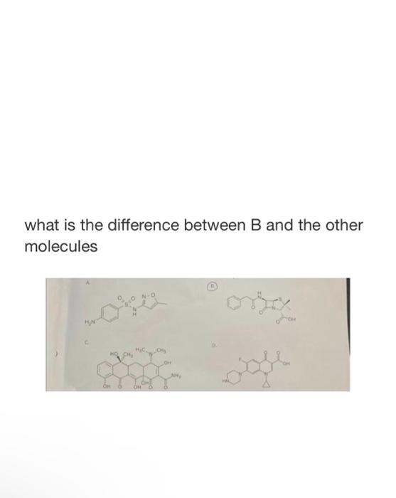 Solved What Is The Difference Between B And The Other | Chegg.com