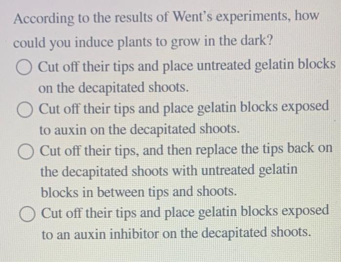 Solved According to the results of Went's experiments, how | Chegg.com