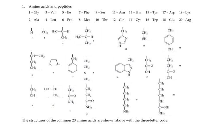 Solved The structures of the common 20 amino acids are shown | Chegg.com