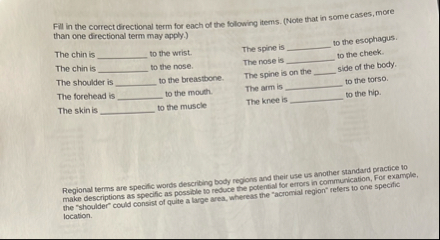 Solved Fill in the correct directional term for each of the | Chegg.com