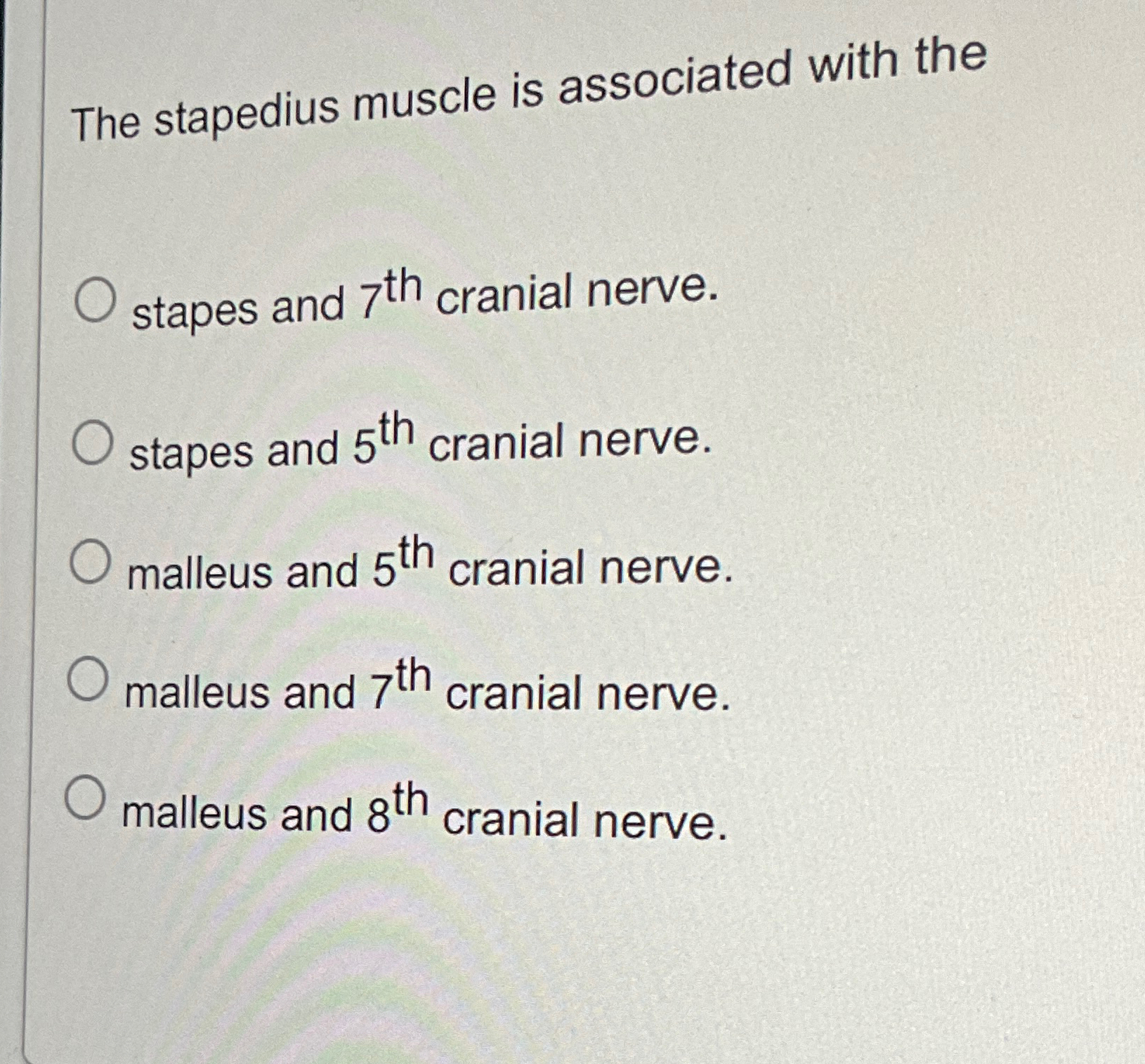 Tiny But Powerful: The Amazing Story Of The Stapedius Muscle - 13d22yd