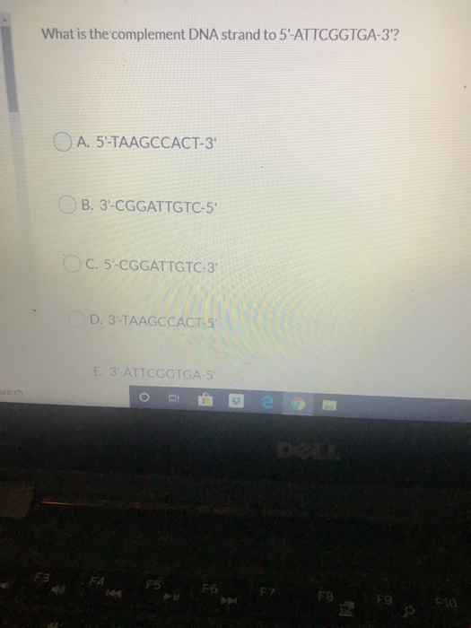 Solved What is the complement DNA strand to 5'-ATTCGGTGA-3? | Chegg.com