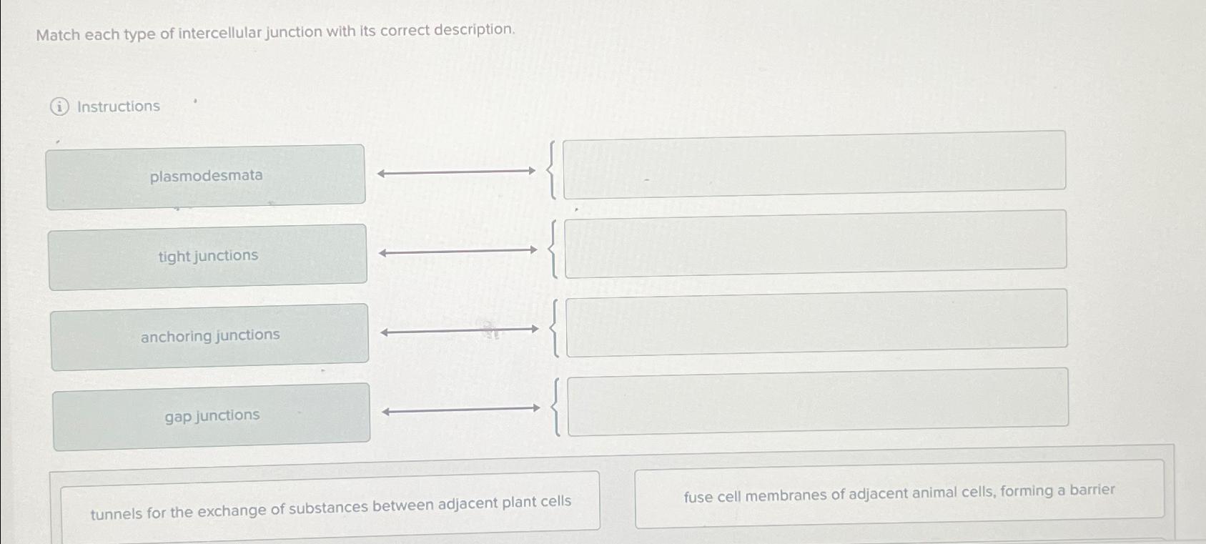 Solved Match each type of intercellular junction with its