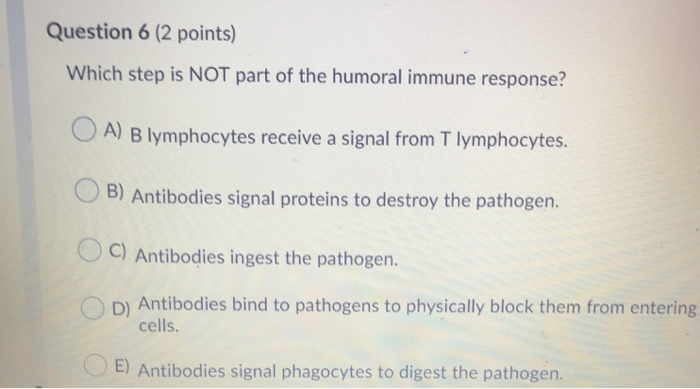 Solved Question 6 (2 points) Which step is NOT part of the | Chegg.com