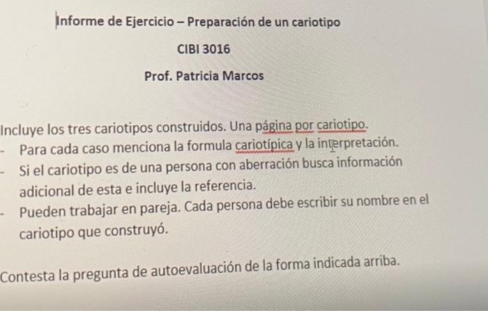 Informe de Ejercicio - Preparación de un cariotipo CIBI 3016 Prof. Patricia Marcos incluye los tres cariotipos construidos. U