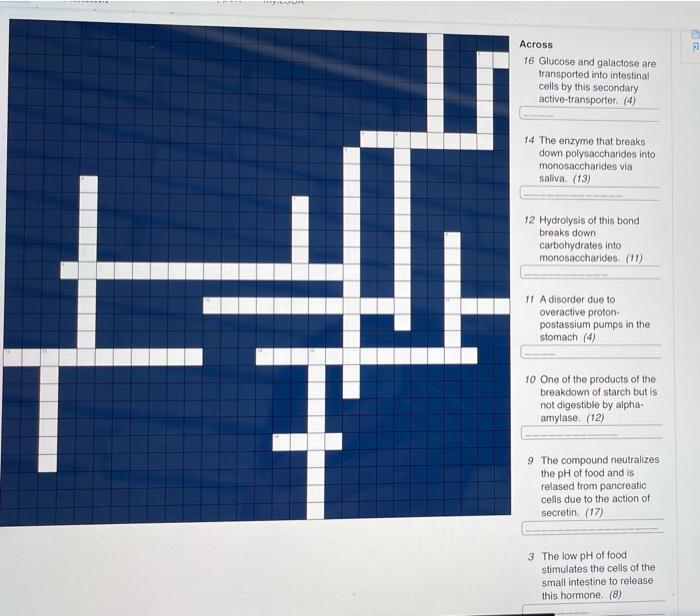 complete crossword. the number in parentheses tell