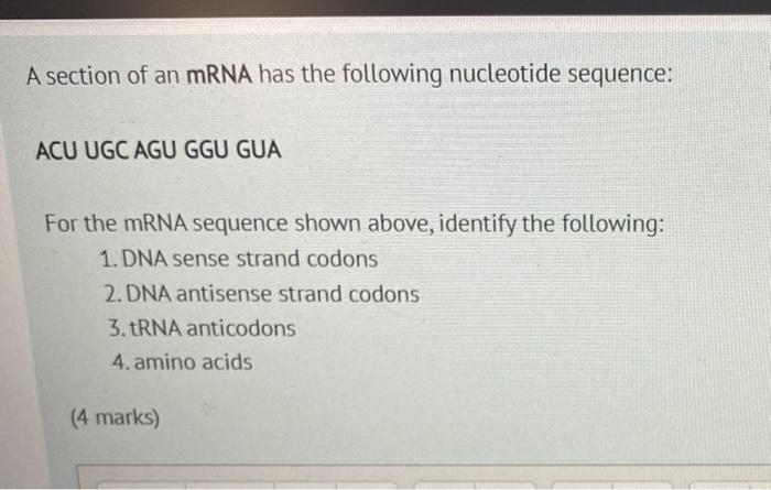 Solved A section of an mRNA has the following nucleotide | Chegg.com