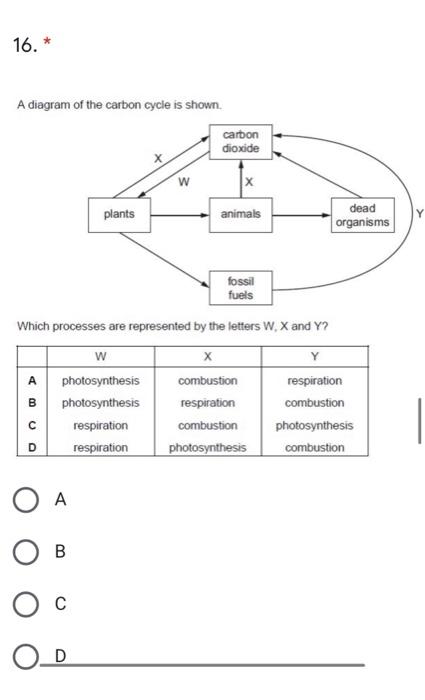 Solved 16. A diagram of the carbon cycle is shown carbon | Chegg.com