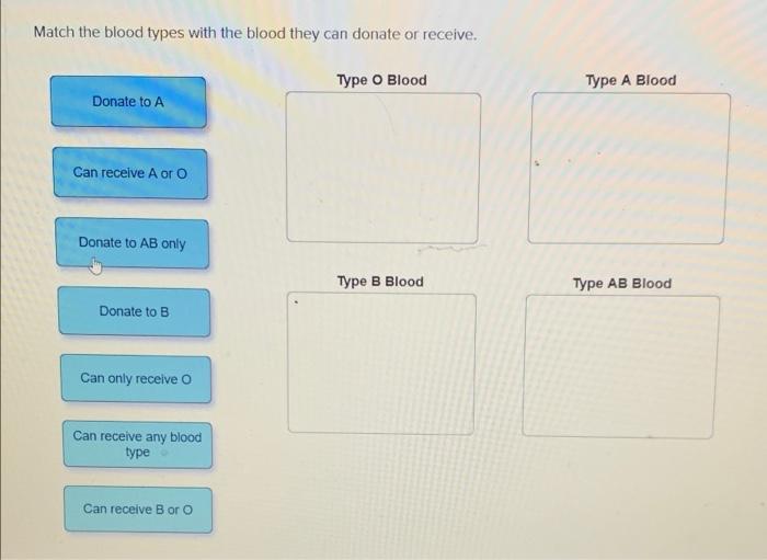 Solved Match the blood types with the blood they can donate