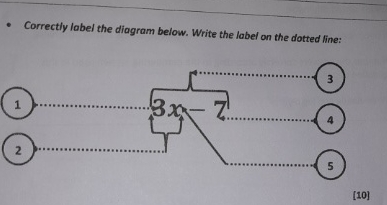 Solved Correctly label the diagram below. Write the label on | Chegg.com