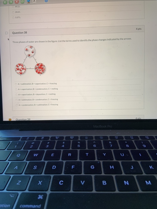 solved-4-pts-question-39-the-diagram-represents-the-physical-chegg