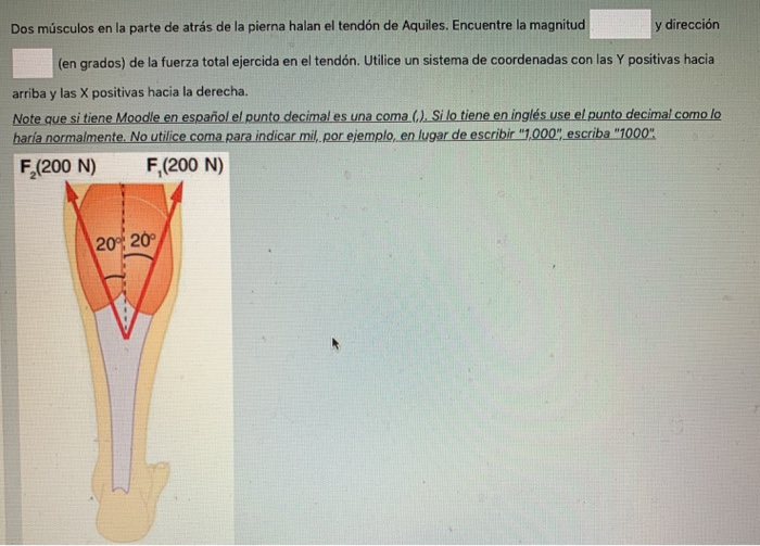 Solved Dos Musculos En La Parte De Atras De La Pierna Hal Chegg Com