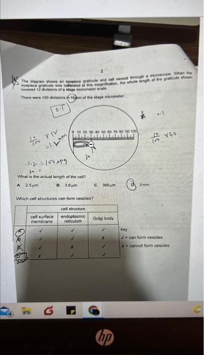 The diagram shows an eyepiece graticule and cell viewed through a microscope. When the
eyepiece graticule was calibrated
this