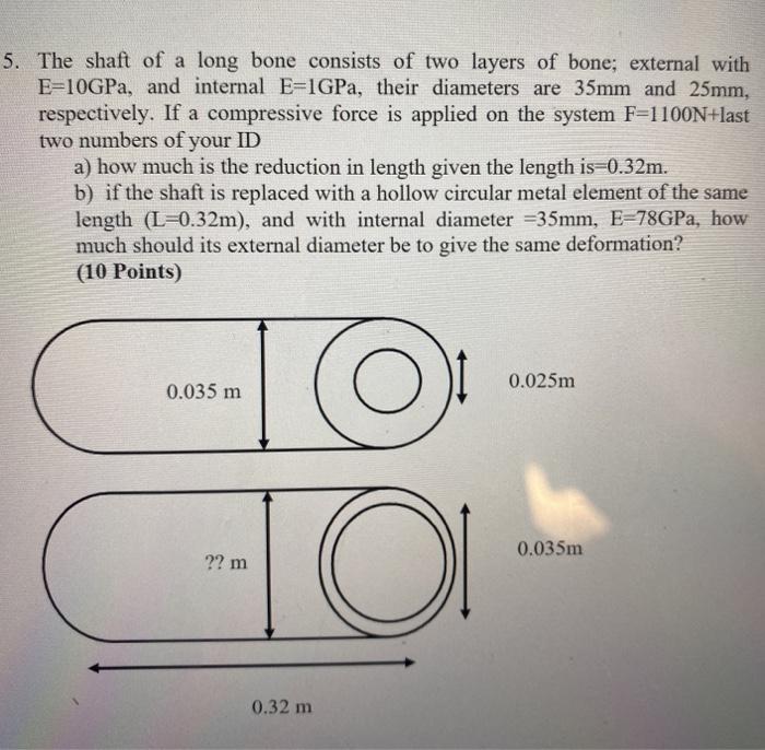 Solved 5. The shaft of a long bone consists of two layers of | Chegg.com
