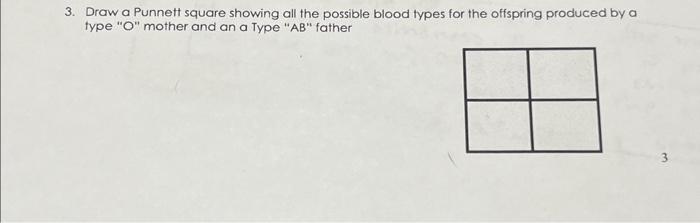 Solved Draw a Punnett square showing all the possible blood | Chegg.com