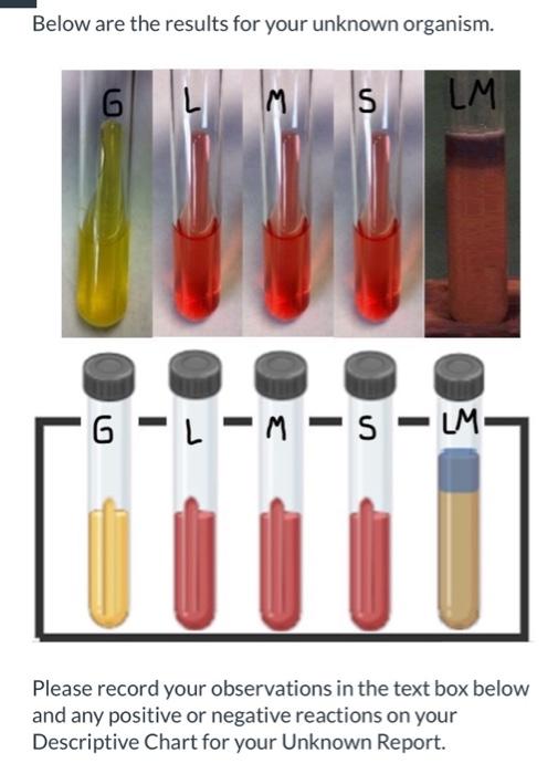 Below are the results for your unknown organism. | Chegg.com