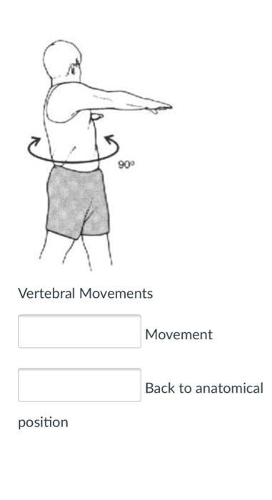 Solved 900 Vertebral Movements Movement Back to anatomical | Chegg.com