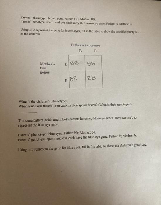 Solved Parents' phenotype: brown eyes. Father: BB: Mother: | Chegg.com