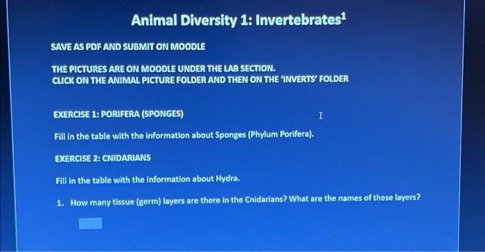 Solved Animal Diversity 1: Invertebrates SAVE AS PDF AND 