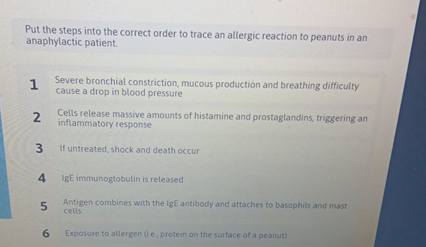 Solved Put the steps into the correct order to trace an | Chegg.com