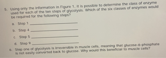 solved-4-the-net-chemical-equation-for-the-first-step-of-chegg