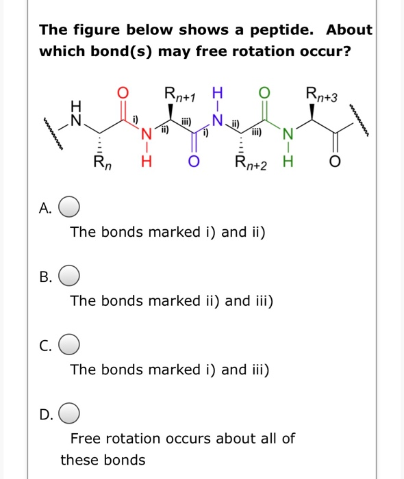 Solved The figure below shows a peptide. About which bond(s) | Chegg.com