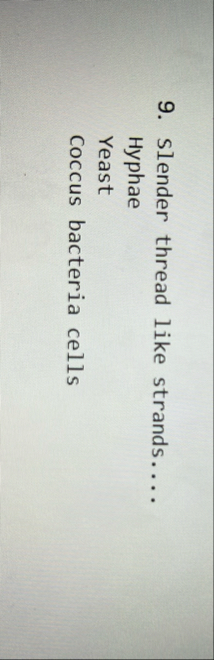 Solved Slender thread like strands.... HyphaeYeastCoccus | Chegg.com