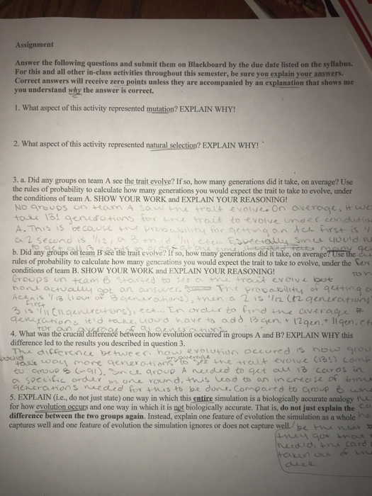 Solved Assignment Answer the following questions and submit | Chegg.com