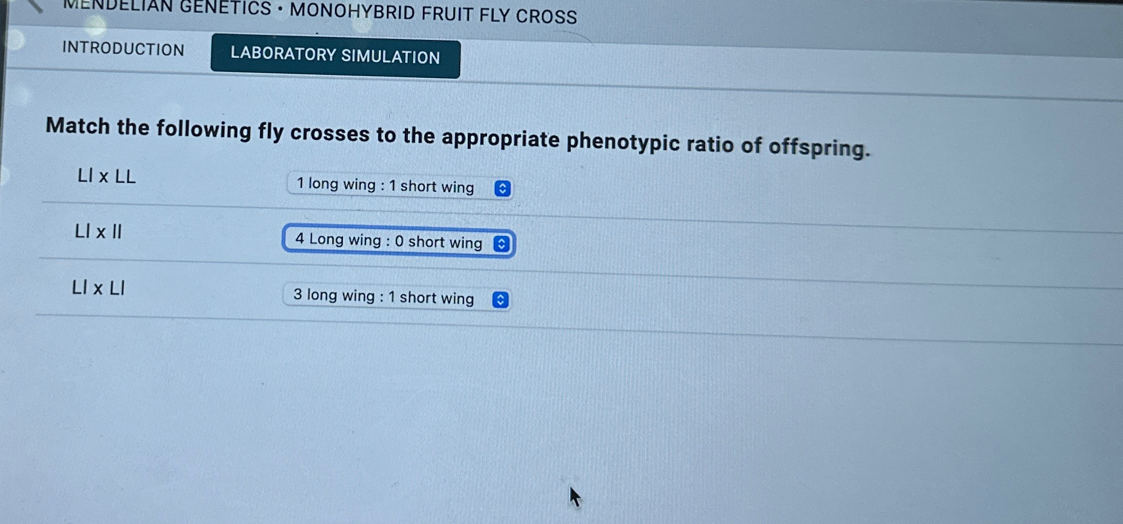 Solved IVIENDELIAN GENETICS * ﻿MONOHYBRID FRUIT FLY | Chegg.com