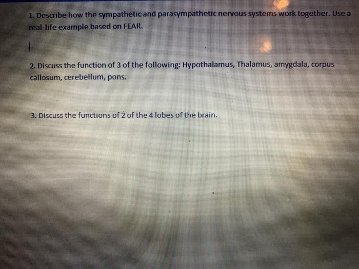 Solved 1. Describe how the sympathetic and parasympathetic | Chegg.com