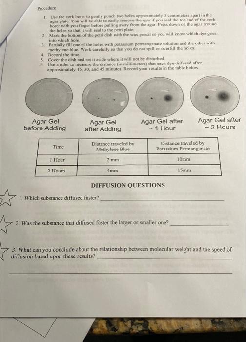 Solved Activity Diffusion through an Agar GelThe rate at | Chegg.com