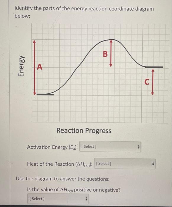 Solved Identify the parts of the energy reaction coordinate | Chegg.com