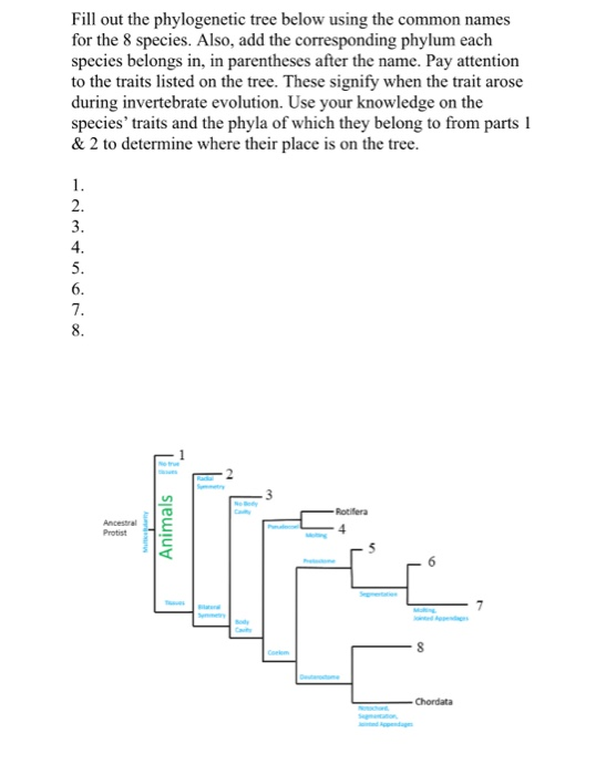 Solved How Do I Figure Our The Order Od Arangement On The | Chegg.com