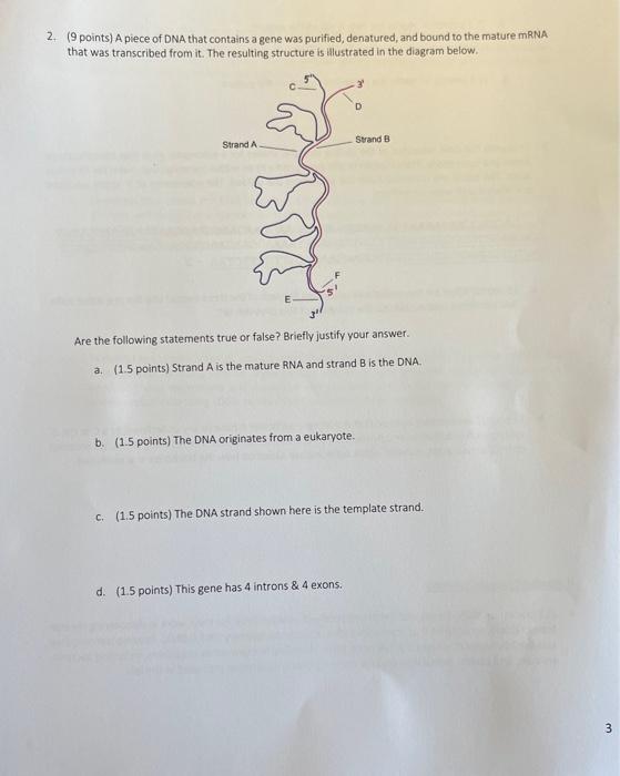 Solved 2. (9 points) A piece of DNA that contains a gene was | Chegg.com