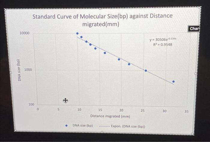 Solved Standard Curve of Molecular Size(bp) against Distance | Chegg.com
