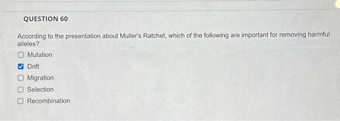 Solved According to the presentation about Muller's Ratchet, | Chegg.com