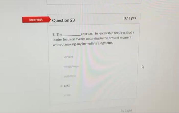 Solved Incorrect 0/1 pts Question 23 T. The Lapproach to | Chegg.com