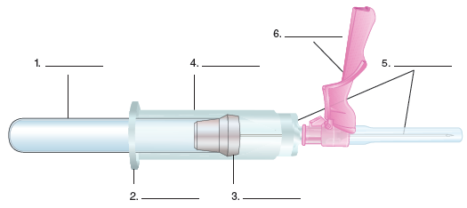 Diagram And Parts Of The Vacutainer Evacuated Tube System Sc