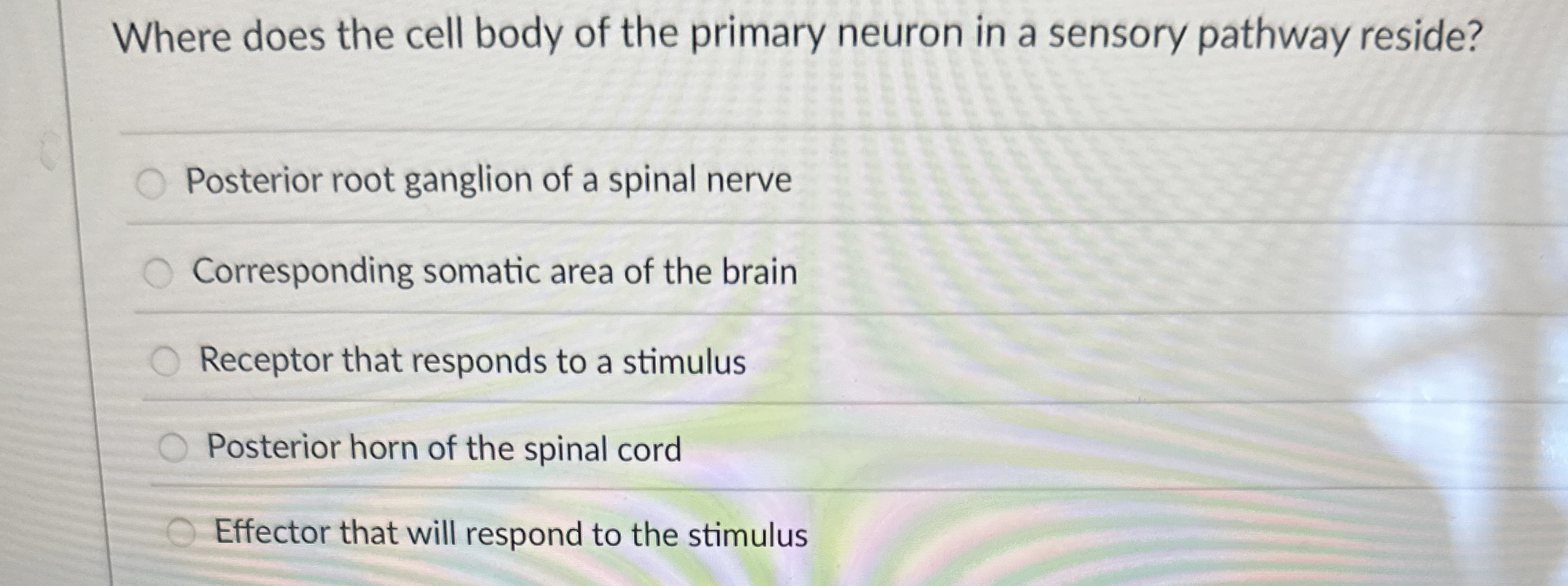 Solved Where does the cell body of the primary neuron in a | Chegg.com