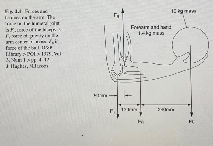 Solved Draw FBD assuming force equilibrium. is this a static | Chegg.com