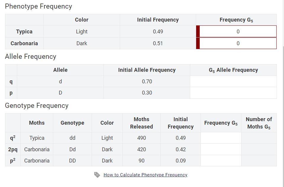 Calculate Phenotype Frequencies In 5th Generation