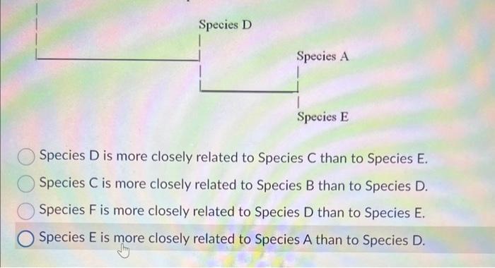 Solved Based On The Phylogenetic Tree Below, Which Of The | Chegg.com