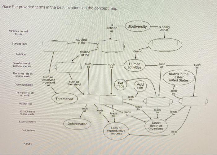 Light Biodiversity Biology Concept Map Concept Map Ma - vrogue.co