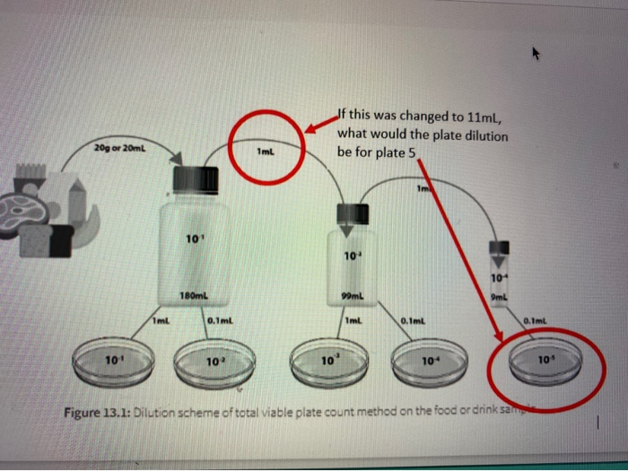 Solved Post Lab 13.6 Dilution Question Homework. Unanswered | Chegg.com