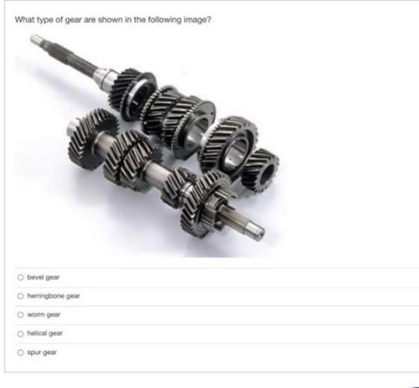 Solved What Type Of Gear Are Shown In The Following Image? O | Chegg.com