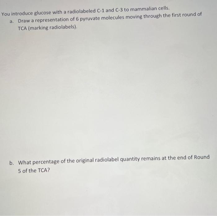 Solved You introduce glucose with a radiolabeled C1 and C3