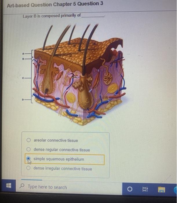 Solved Part A Layers B and C collectively form the oh | Chegg.com