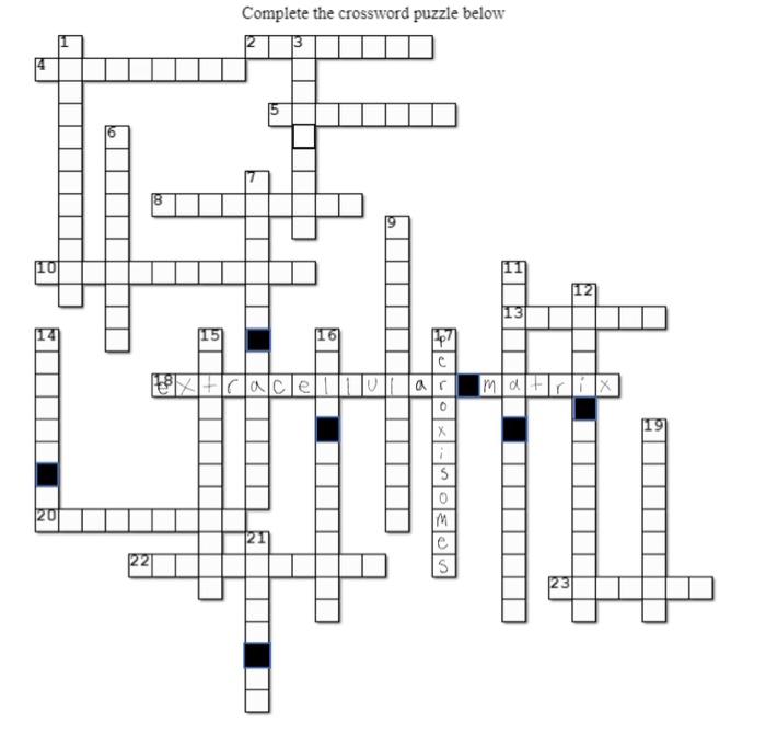 Solved Complete The Crossword Puzzle Below 12 16 18 Mahli Chegg Com