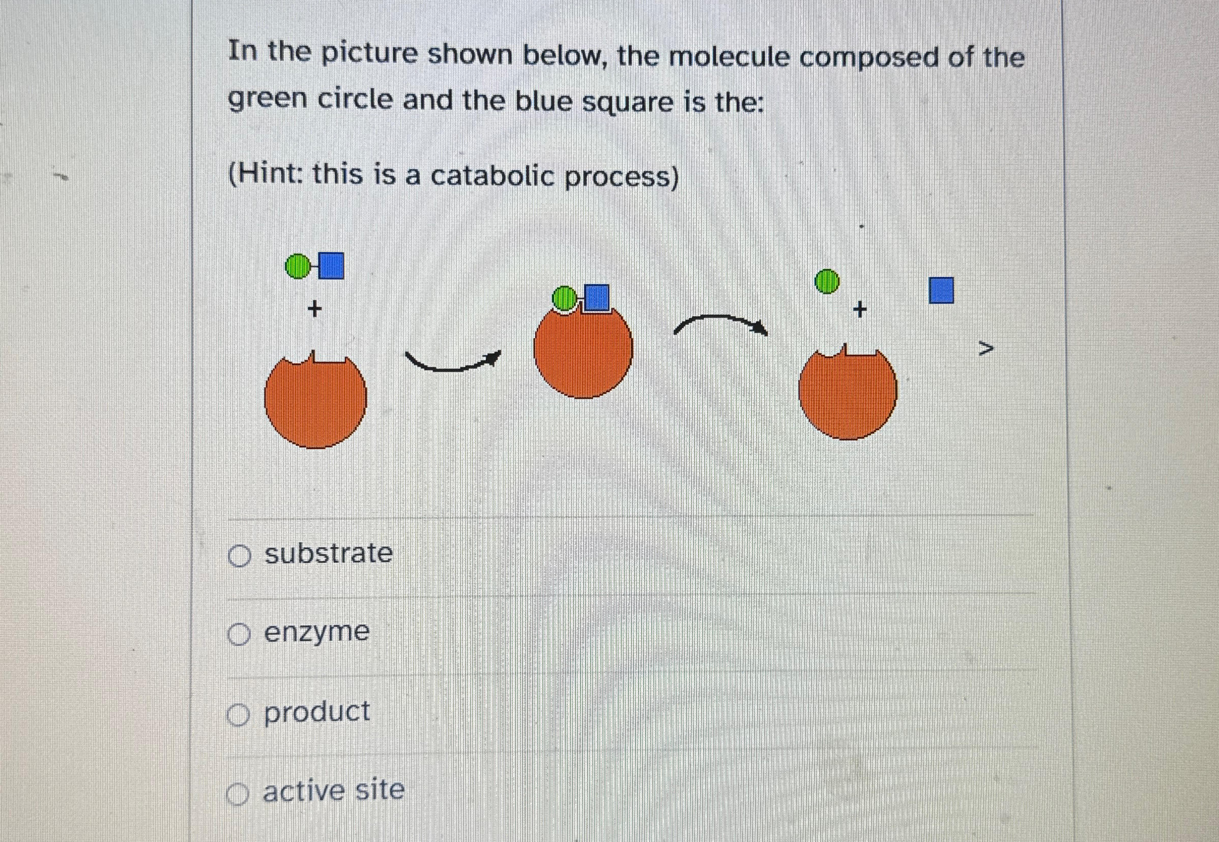 Solved In the picture shown below, the molecule composed of | Chegg.com